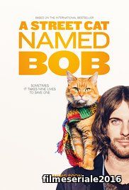 ĚA Street Cat Named Bob (2016) Online Subtitrat