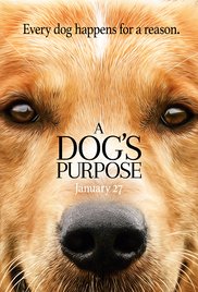 ĚA Dog's Purpose (2017) Online Subtitrat